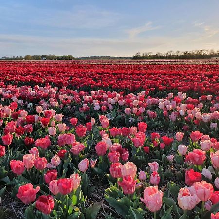 Buitenhuis Egmond Egmond aan den Hoef Luaran gambar